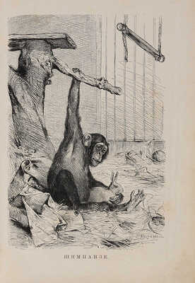 Брэм [Брем] А.Э. Иллюстрированное издание «Жизнь животных», 1893-1896.